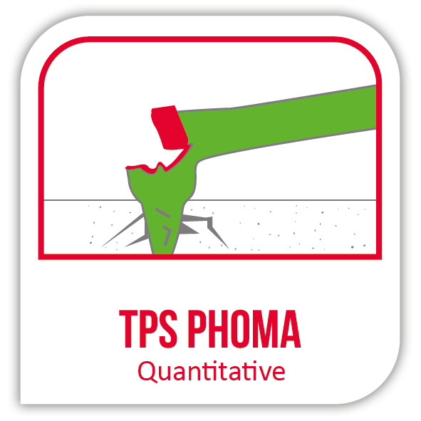 Visuel TPS phoma quantitative